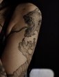 lun-des-nombreux-dragon-tattoo