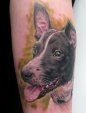 stefano-alcantara-tattoo-dog