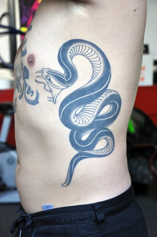 Darin Snake