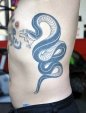 darin_snake
